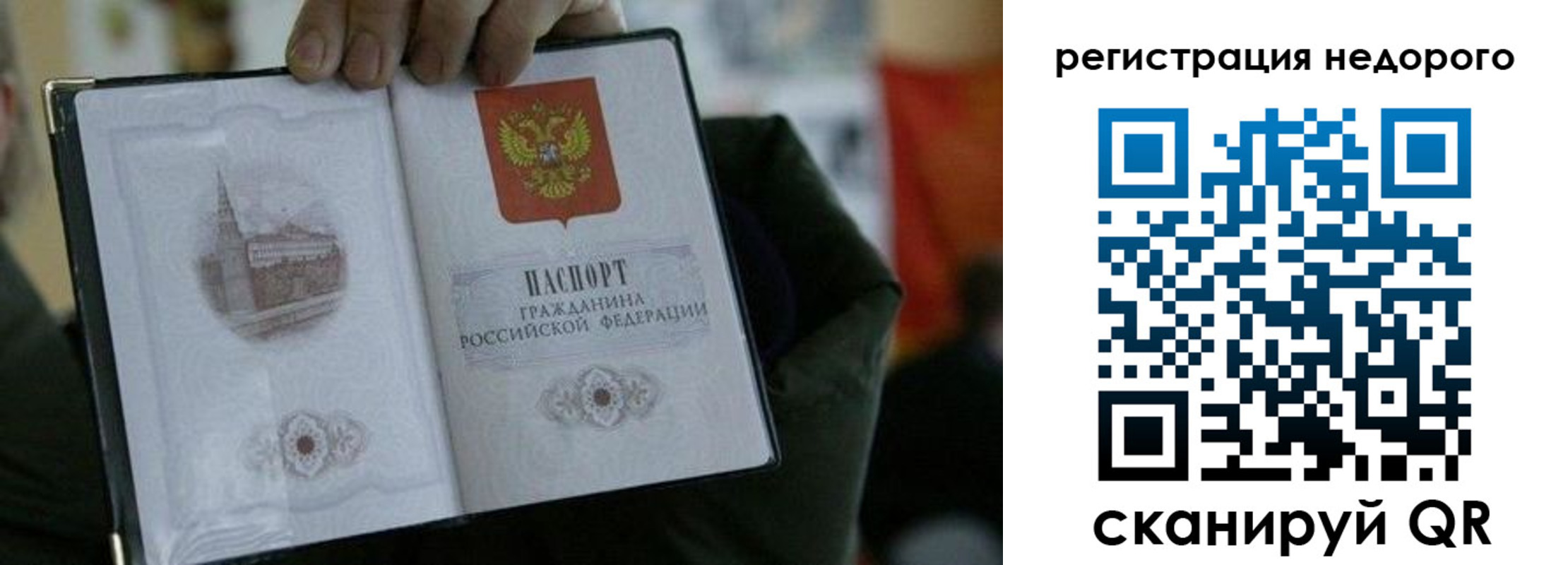 временная регистрация поиск в Светлом